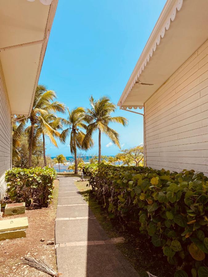 Tucum Home - Appart Au Village Vacances Sainte Anne ภายนอก รูปภาพ